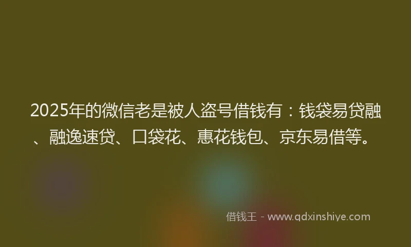 2025年的微信老是被人盗号借钱有：钱袋易贷融、融逸速贷、口袋花、惠花钱包、京东易借等。