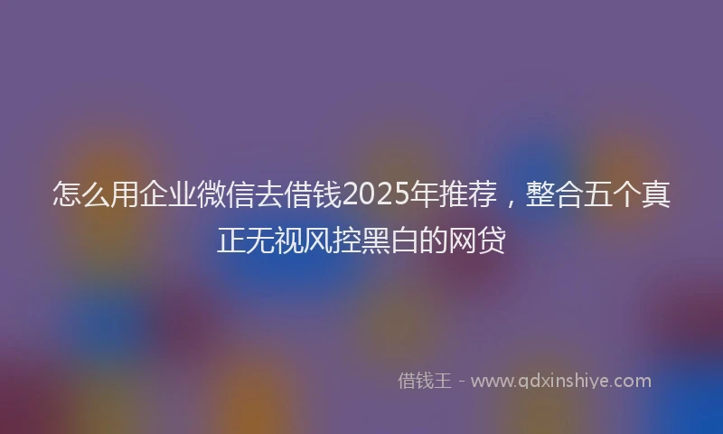怎么用企业微信去借钱2025年推荐，整合五个真正无视风控黑白的网贷