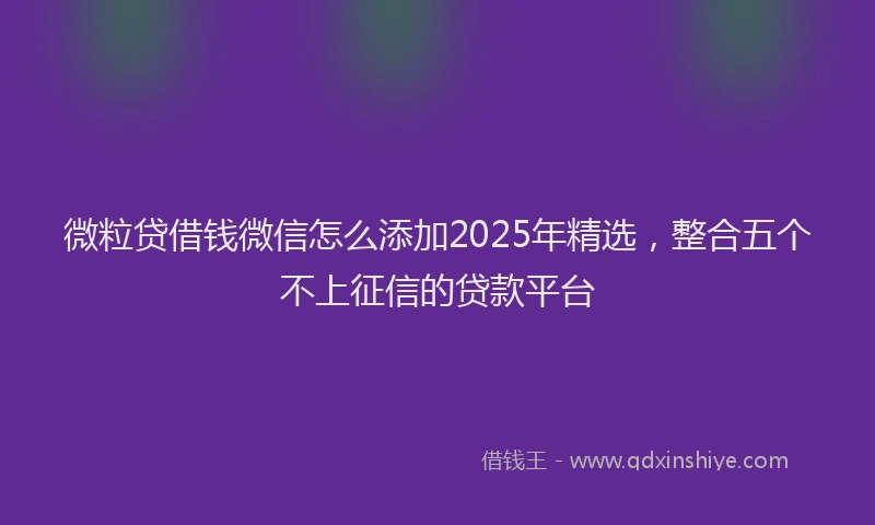 微粒贷借钱微信怎么添加2025年精选，整合五个不上征信的贷款平台