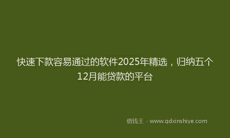 快速下款容易通过的软件2025年精选，归纳五个12月能贷款的平台