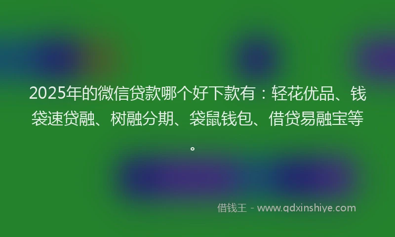 2025年的微信贷款哪个好下款有：轻花优品、钱袋速贷融、树融分期、袋鼠钱包、借贷易融宝等。