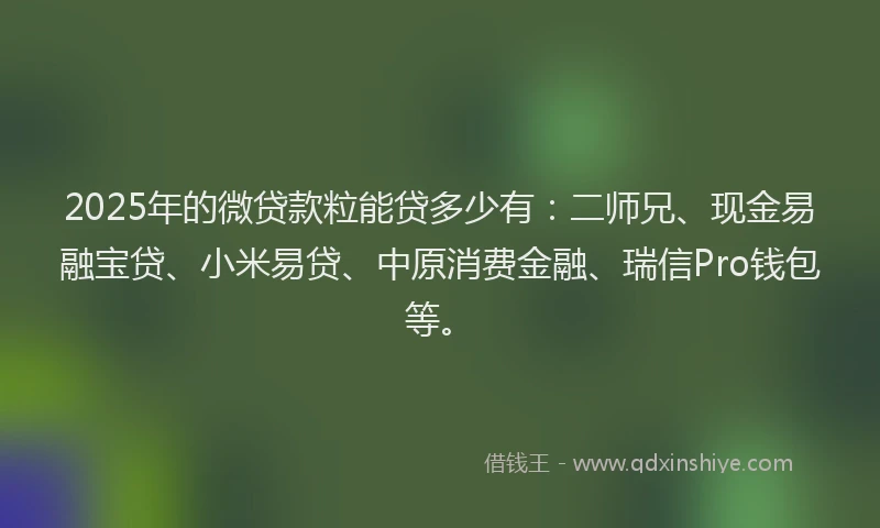 2025年的微贷款粒能贷多少有：二师兄、现金易融宝贷、小米易贷、中原消费金融、瑞信Pro钱包等。