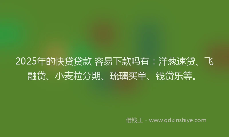 2025年的快贷贷款 容易下款吗有：洋葱速贷、飞融贷、小麦粒分期、琉璃买单、钱贷乐等。