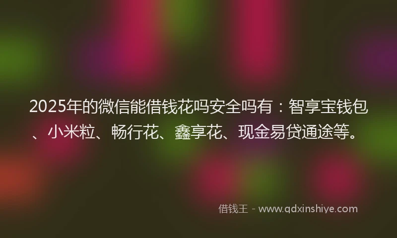 2025年的微信能借钱花吗安全吗有：智享宝钱包、小米粒、畅行花、鑫享花、现金易贷通途等。