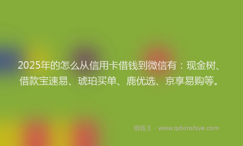 2025年的怎么从信用卡借钱到微信有：现金树、借款宝速易、琥珀买单、鹿优选、京享易购等。