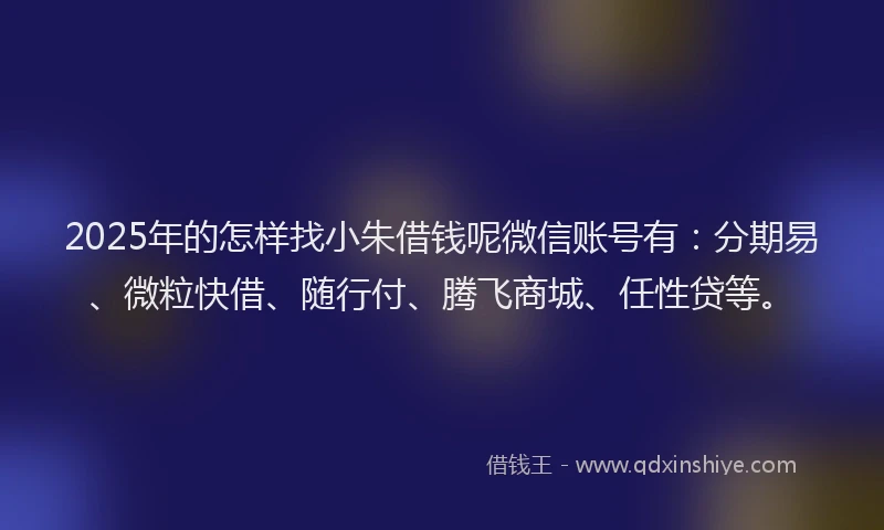 2025年的怎样找小朱借钱呢微信账号有：分期易、微粒快借、随行付、腾飞商城、任性贷等。