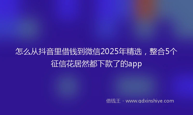 怎么从抖音里借钱到微信2025年精选，整合5个征信花居然都下款了的app