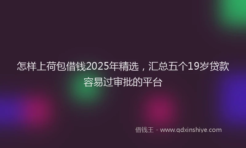 怎样上荷包借钱2025年精选，汇总五个19岁贷款容易过审批的平台