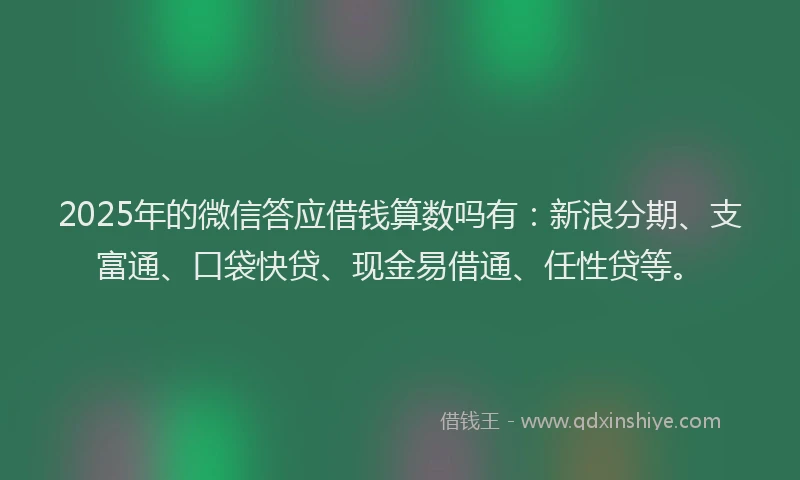 2025年的微信答应借钱算数吗有：新浪分期、支富通、口袋快贷、现金易借通、任性贷等。