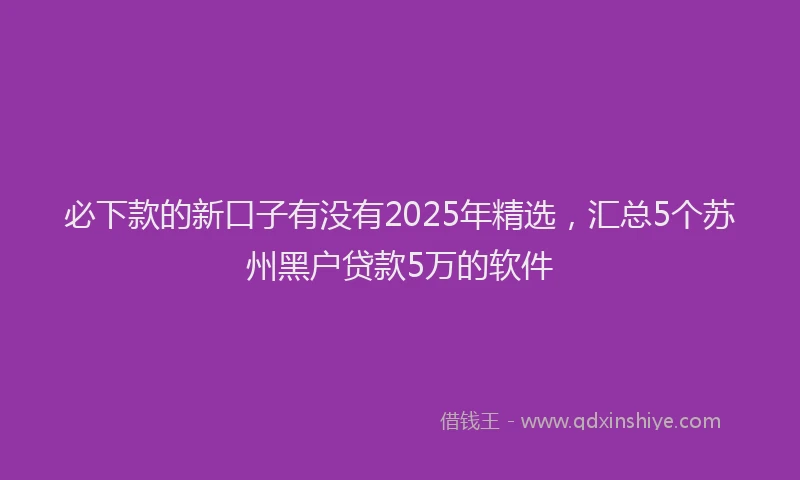 必下款的新口子有没有2025年精选，汇总5个苏州黑户贷款5万的软件