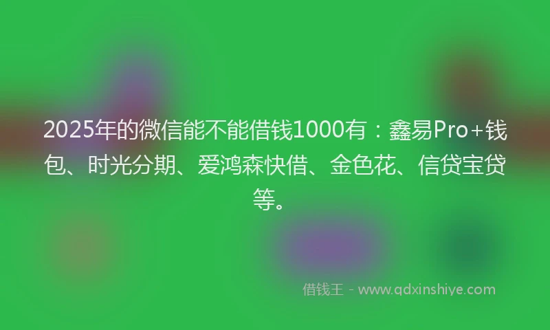 2025年的微信能不能借钱1000有：鑫易Pro+钱包、时光分期、爱鸿森快借、金色花、信贷宝贷等。