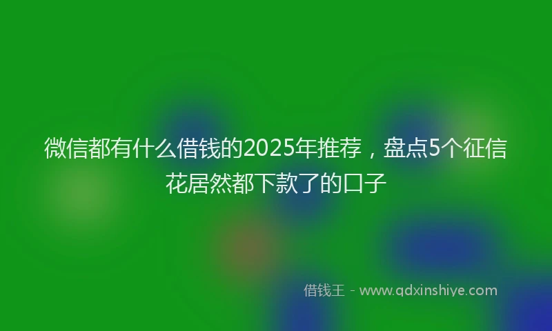 微信都有什么借钱的2025年推荐，盘点5个征信花居然都下款了的口子