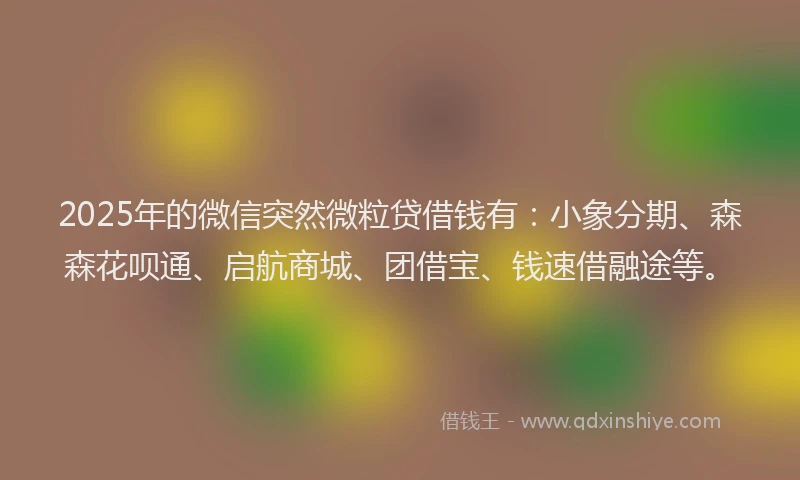 2025年的微信突然微粒贷借钱有：小象分期、森森花呗通、启航商城、团借宝、钱速借融途等。
