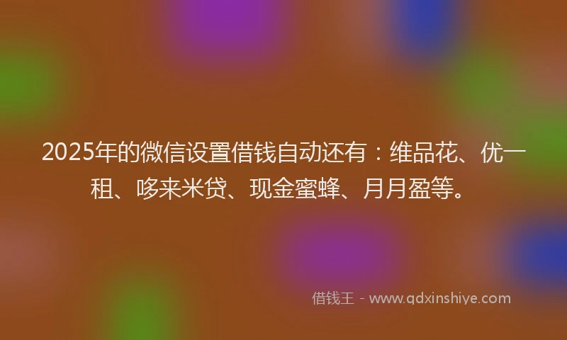 2025年的微信设置借钱自动还有：维品花、优一租、哆来米贷、现金蜜蜂、月月盈等。