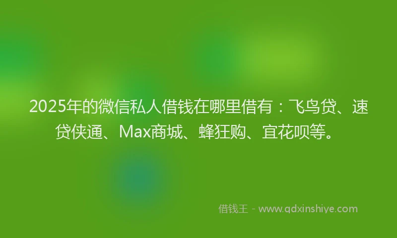 2025年的微信私人借钱在哪里借有：飞鸟贷、速贷侠通、Max商城、蜂狂购、宜花呗等。