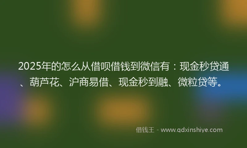 2025年的怎么从借呗借钱到微信有：现金秒贷通、葫芦花、沪商易借、现金秒到融、微粒贷等。