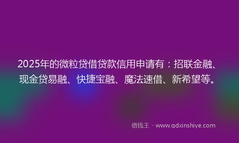 2025年的微粒贷借贷款信用申请有：招联金融、现金贷易融、快捷宝融、魔法速借、新希望等。