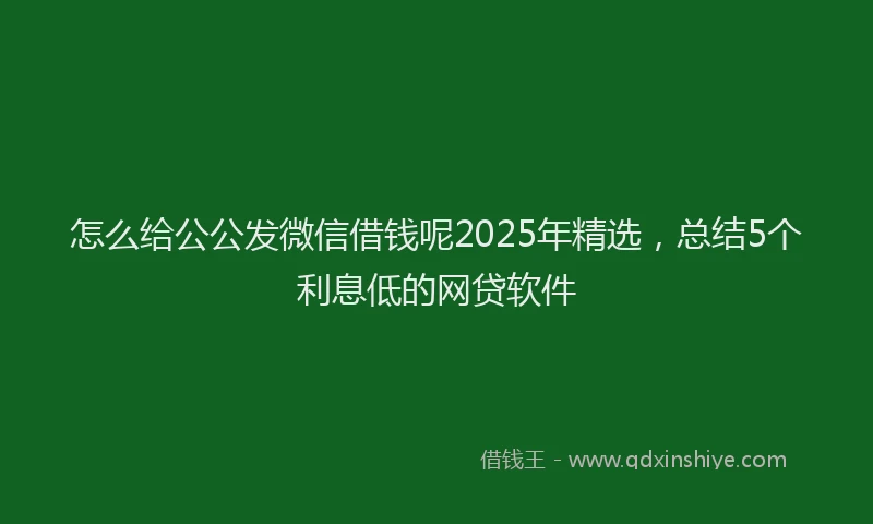 怎么给公公发微信借钱呢2025年精选，总结5个利息低的网贷软件