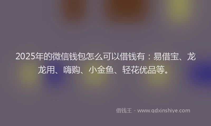 2025年的微信钱包怎么可以借钱有：易借宝、龙龙用、嗨购、小金鱼、轻花优品等。