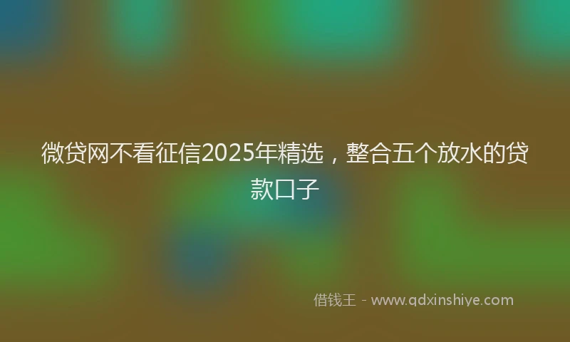 微贷网不看征信2025年精选，整合五个放水的贷款口子