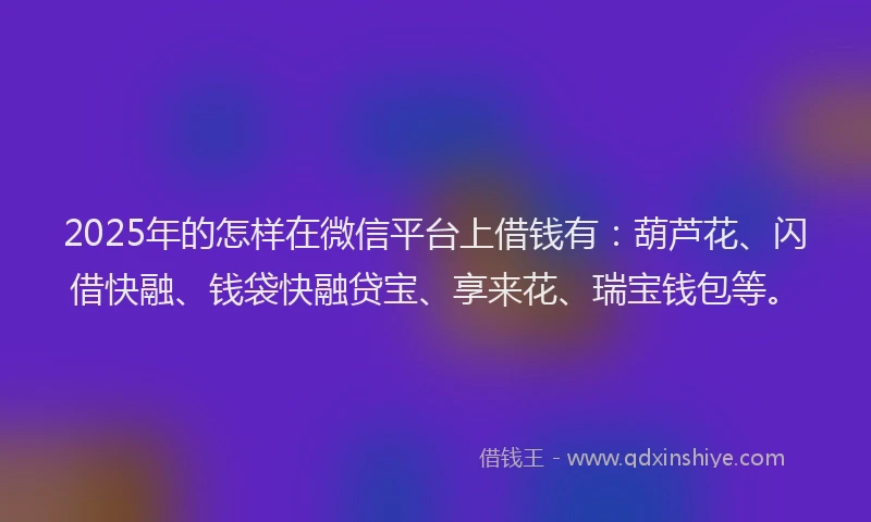 2025年的怎样在微信平台上借钱有：葫芦花、闪借快融、钱袋快融贷宝、享来花、瑞宝钱包等。