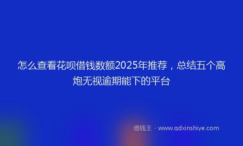 怎么查看花呗借钱数额2025年推荐，总结五个高炮无视逾期能下的平台