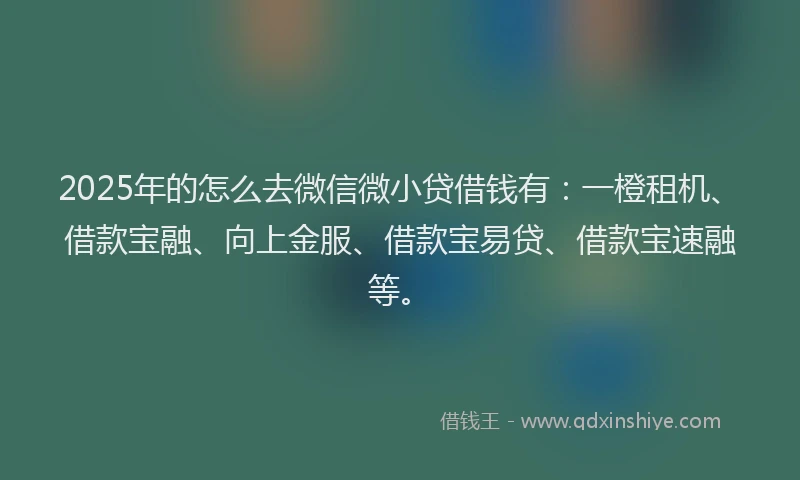 2025年的怎么去微信微小贷借钱有：一橙租机、借款宝融、向上金服、借款宝易贷、借款宝速融等。