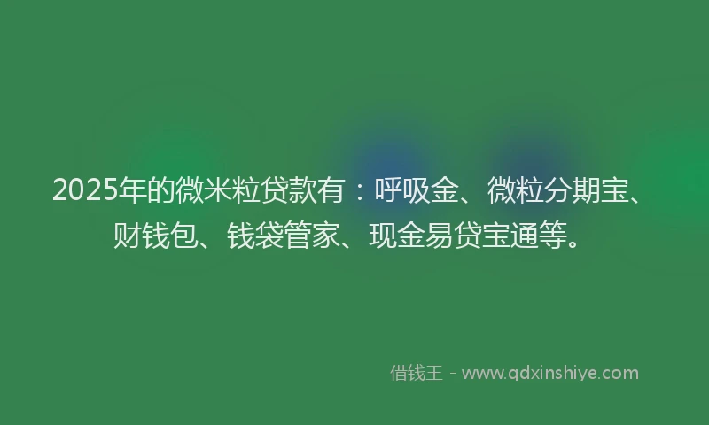 2025年的微米粒贷款有：呼吸金、微粒分期宝、财钱包、钱袋管家、现金易贷宝通等。
