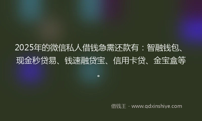 2025年的微信私人借钱急需还款有：智融钱包、现金秒贷易、钱速融贷宝、信用卡贷、金宝盒等。