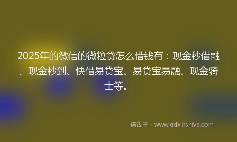 2025年的微信的微粒贷怎么借钱有：现金秒借融、现金秒到、快借易贷宝、易贷宝易融、现金骑士等。