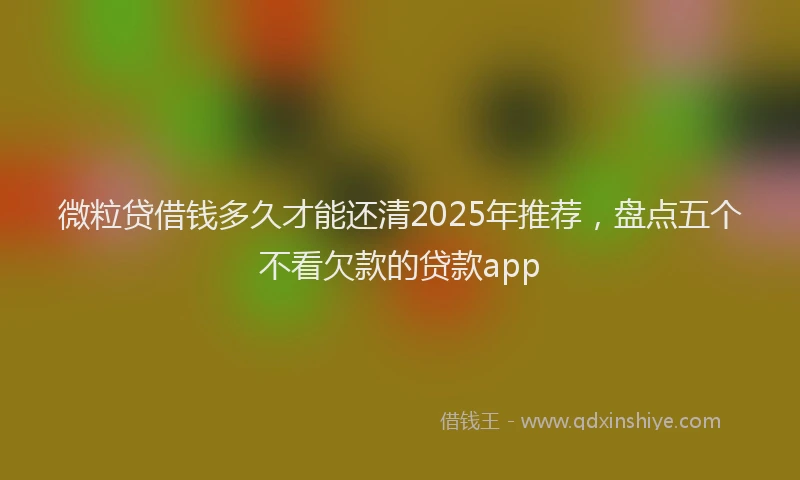 微粒贷借钱多久才能还清2025年推荐，盘点五个不看欠款的贷款app