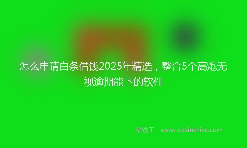 怎么申请白条借钱2025年精选，整合5个高炮无视逾期能下的软件