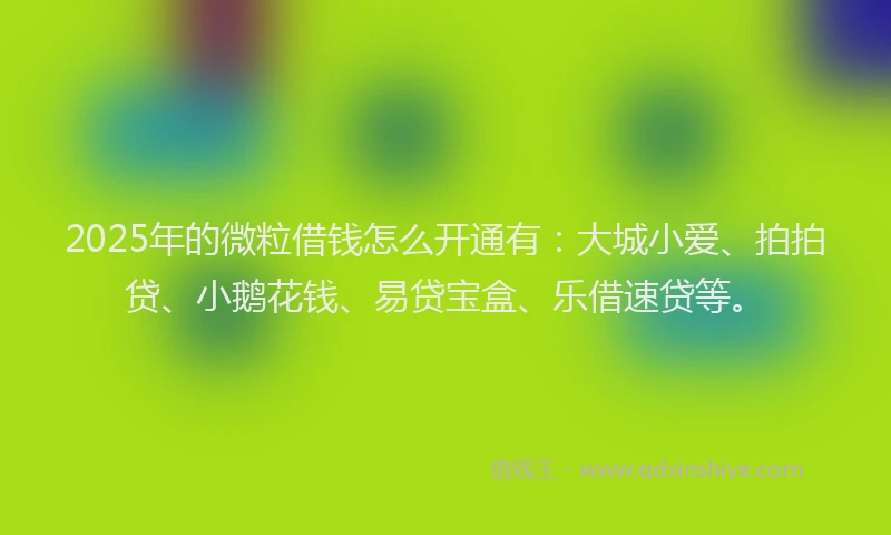 2025年的微粒借钱怎么开通有：大城小爱、拍拍贷、小鹅花钱、易贷宝盒、乐借速贷等。