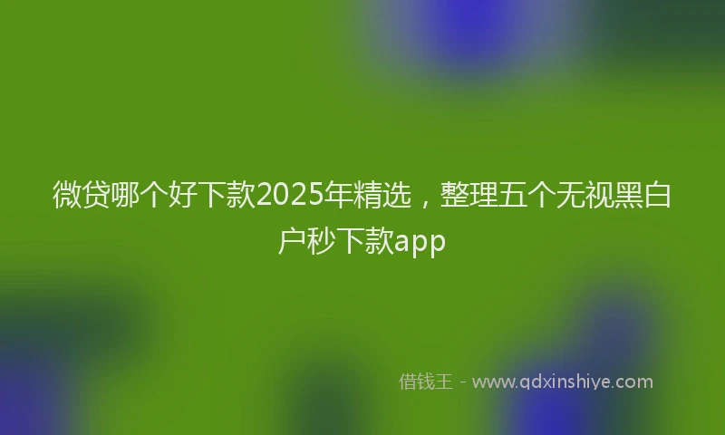 微贷哪个好下款2025年精选，整理五个无视黑白户秒下款app