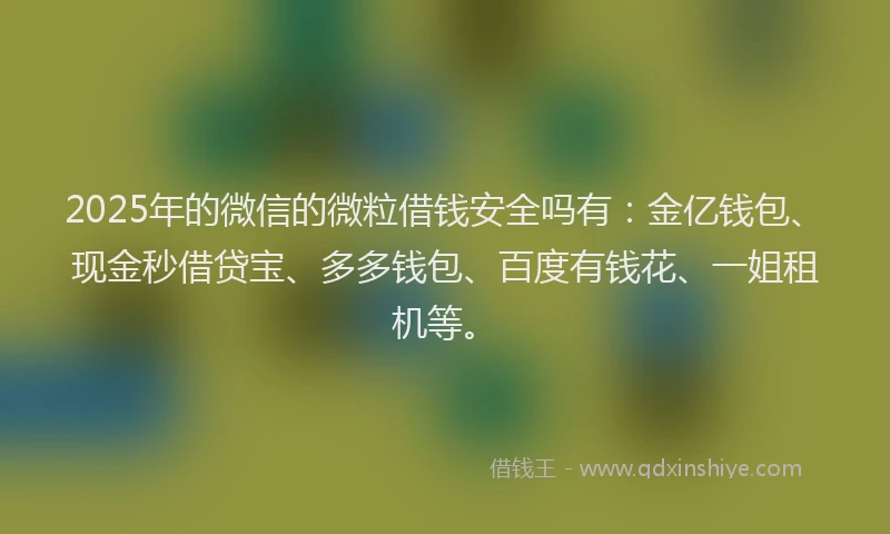 2025年的微信的微粒借钱安全吗有：金亿钱包、现金秒借贷宝、多多钱包、百度有钱花、一姐租机等。