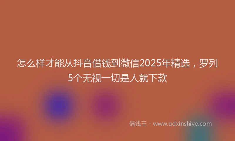 怎么样才能从抖音借钱到微信2025年精选，罗列5个无视一切是人就下款