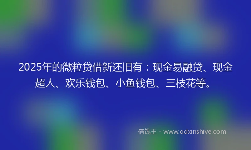2025年的微粒贷借新还旧有：现金易融贷、现金超人、欢乐钱包、小鱼钱包、三枝花等。