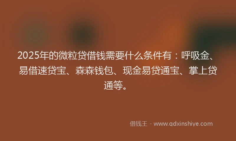 2025年的微粒贷借钱需要什么条件有：呼吸金、易借速贷宝、森森钱包、现金易贷通宝、掌上贷通等。