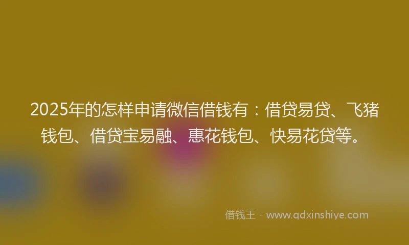 2025年的怎样申请微信借钱有：借贷易贷、飞猪钱包、借贷宝易融、惠花钱包、快易花贷等。