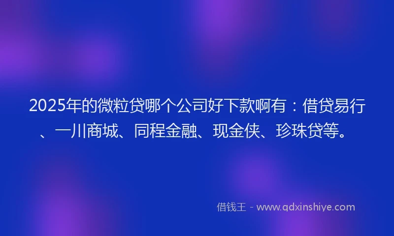 2025年的微粒贷哪个公司好下款啊有：借贷易行、一川商城、同程金融、现金侠、珍珠贷等。