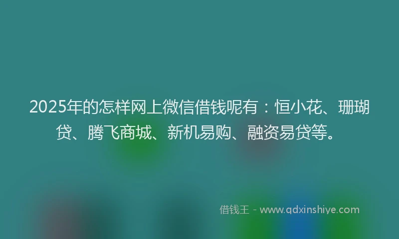 2025年的怎样网上微信借钱呢有：恒小花、珊瑚贷、腾飞商城、新机易购、融资易贷等。