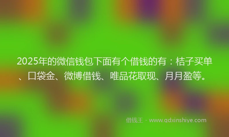 2025年的微信钱包下面有个借钱的有：桔子买单、口袋金、微博借钱、唯品花取现、月月盈等。