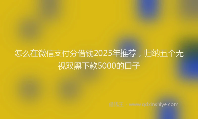 怎么在微信支付分借钱2025年推荐，归纳五个无视双黑下款5000的口子