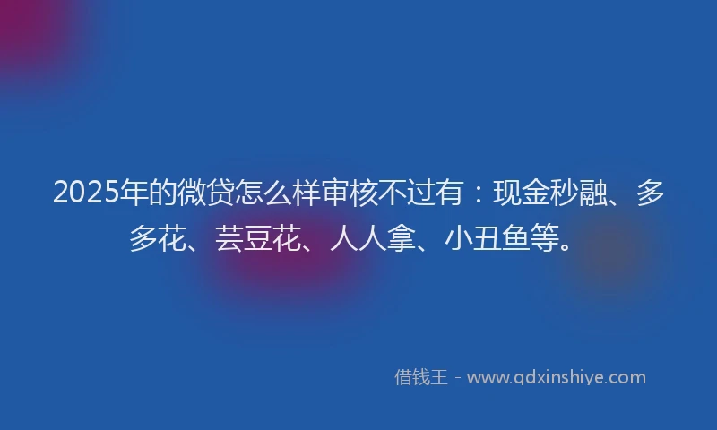 2025年的微贷怎么样审核不过有：现金秒融、多多花、芸豆花、人人拿、小丑鱼等。