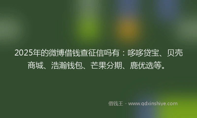 2025年的微博借钱查征信吗有：哆哆贷宝、贝壳商城、浩瀚钱包、芒果分期、鹿优选等。