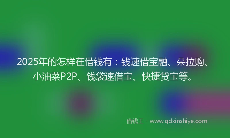 2025年的怎样在借钱有：钱速借宝融、朵拉购、小油菜P2P、钱袋速借宝、快捷贷宝等。