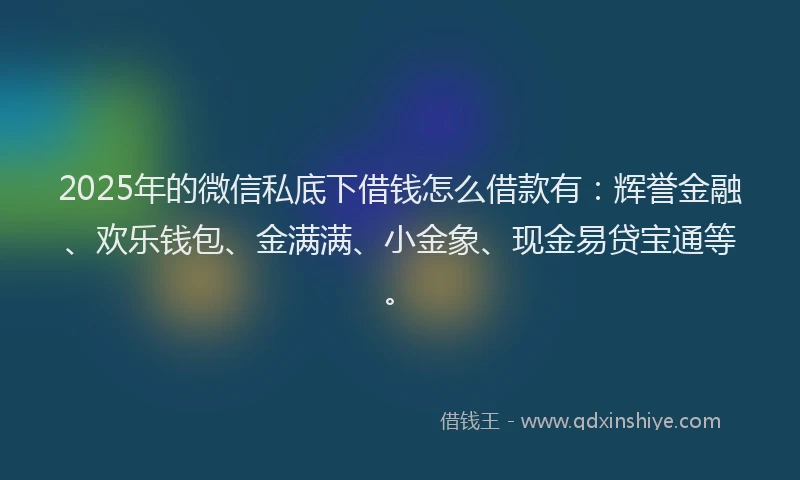 2025年的微信私底下借钱怎么借款有：辉誉金融、欢乐钱包、金满满、小金象、现金易贷宝通等。