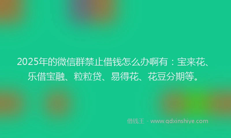 2025年的微信群禁止借钱怎么办啊有：宝来花、乐借宝融、粒粒贷、易得花、花豆分期等。