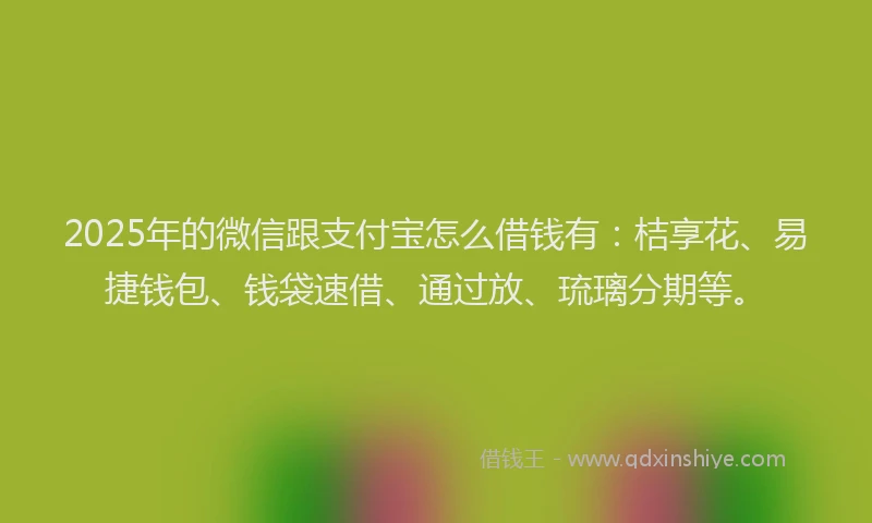 2025年的微信跟支付宝怎么借钱有：桔享花、易捷钱包、钱袋速借、通过放、琉璃分期等。