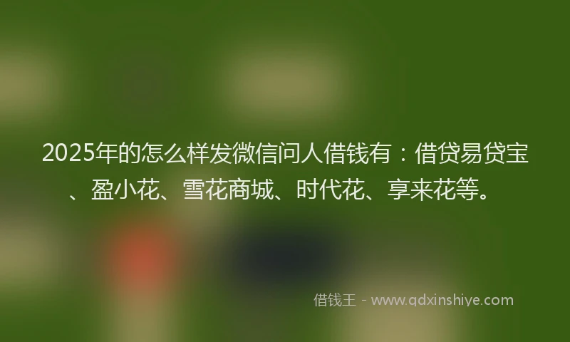 2025年的怎么样发微信问人借钱有：借贷易贷宝、盈小花、雪花商城、时代花、享来花等。